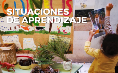 Situaciones de aprendizaje