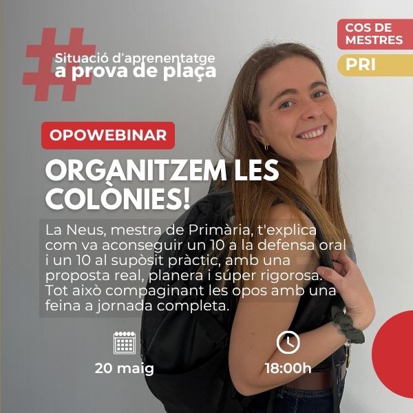 Organitzem les colònies