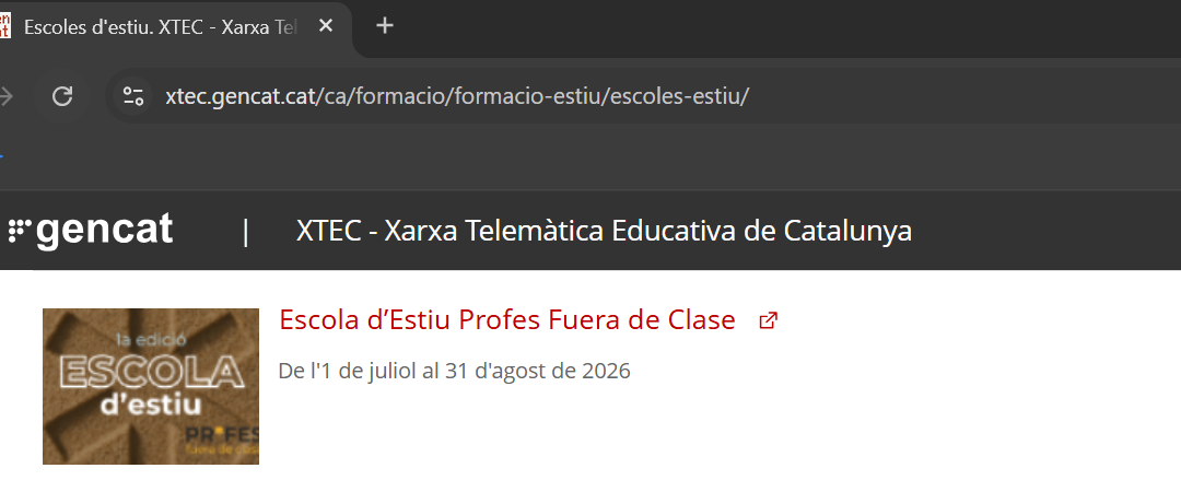 Escola d’estiu amb nostàlgia Millenial